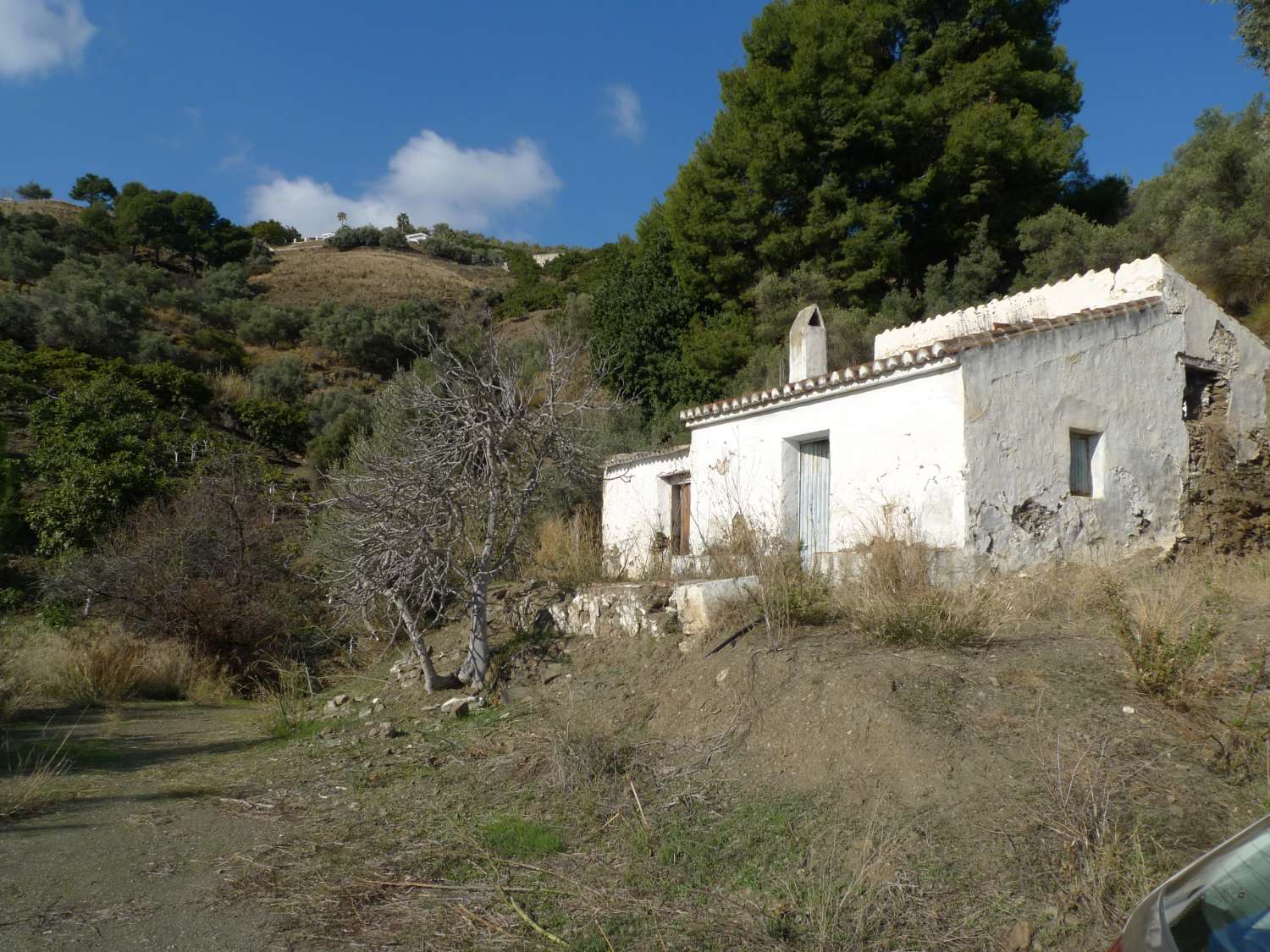Plot and rustic farmhouse to reform for sale on the Frigiliana Torrox road