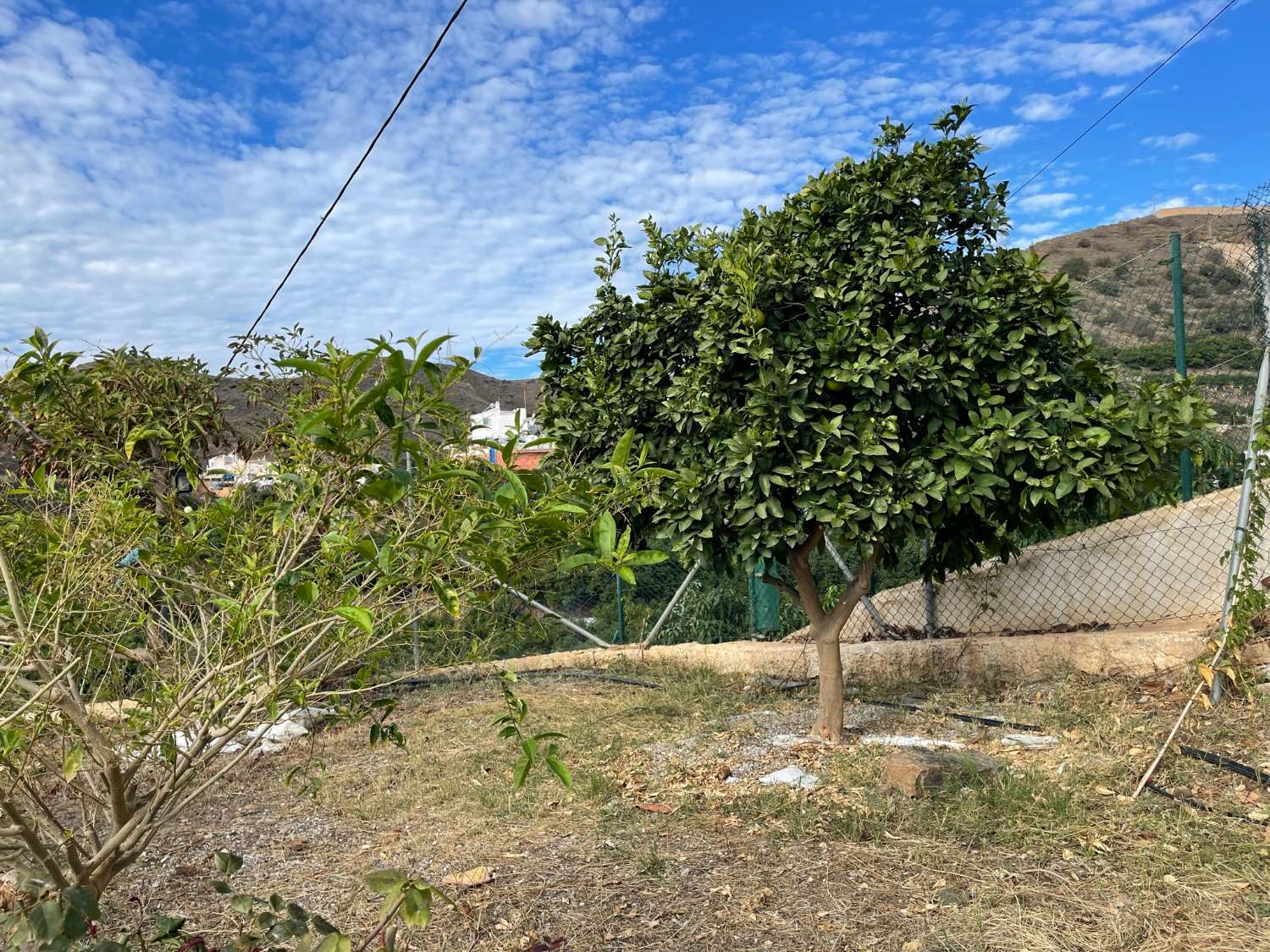Unik villa med 60 avokado träd i spektakulärt läge i Tamango Hill