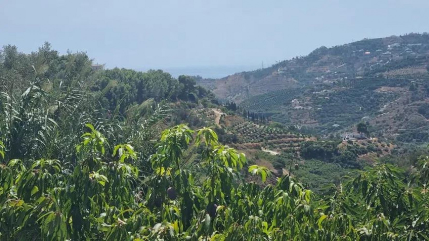 Villa myynnissä Frigiliana