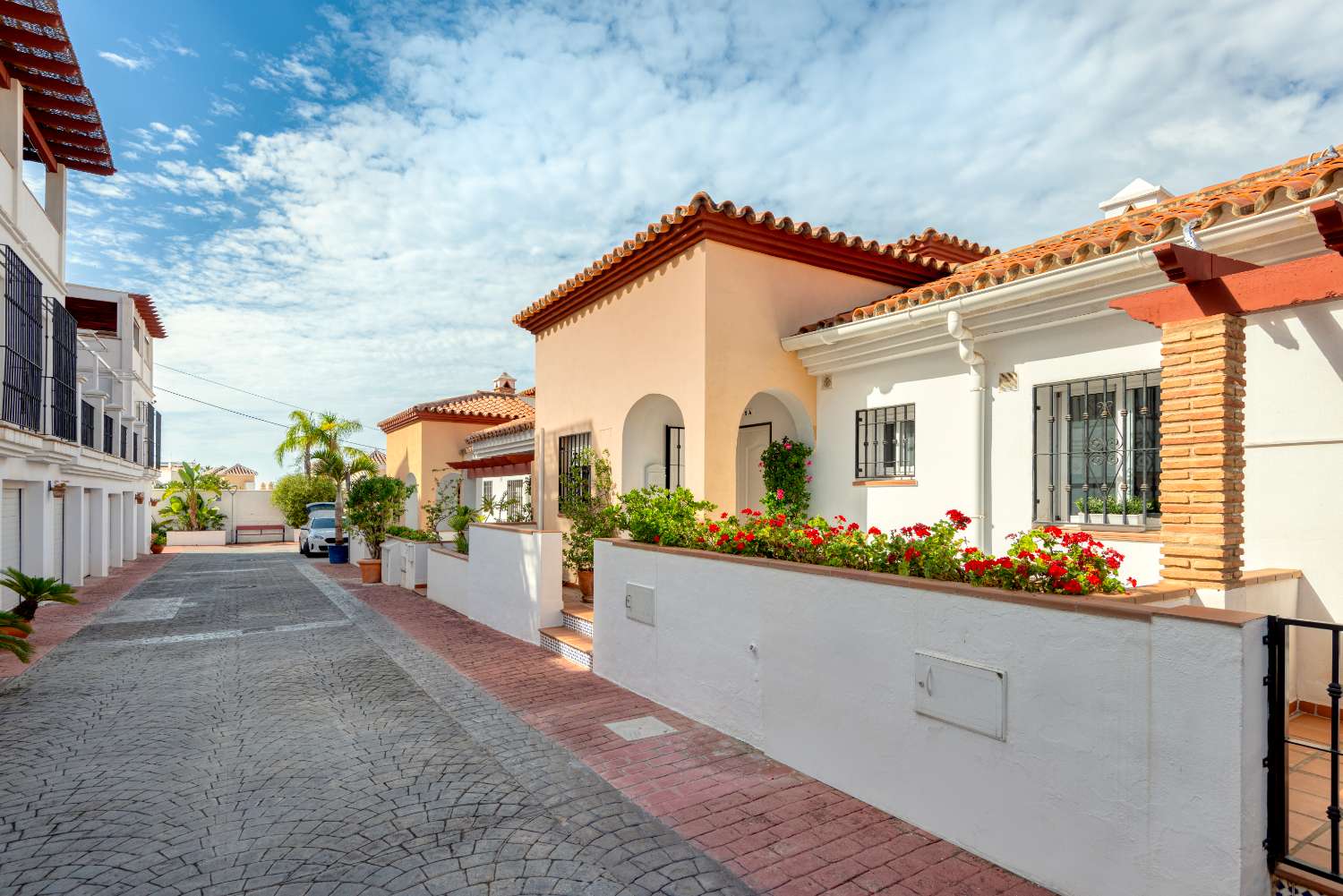 Dům v prodeji in Nerja