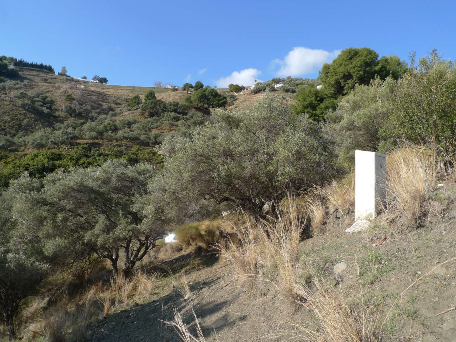 Plot and rustic farmhouse to reform for sale on the Frigiliana Torrox road