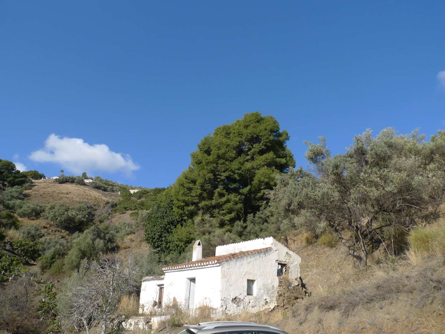 Perceel en rustieke boerderij om te renoveren te koop op de weg van Frigiliana Torrox