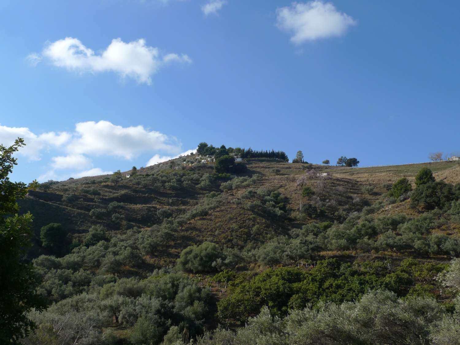 Perceel en rustieke boerderij om te renoveren te koop op de weg van Frigiliana Torrox