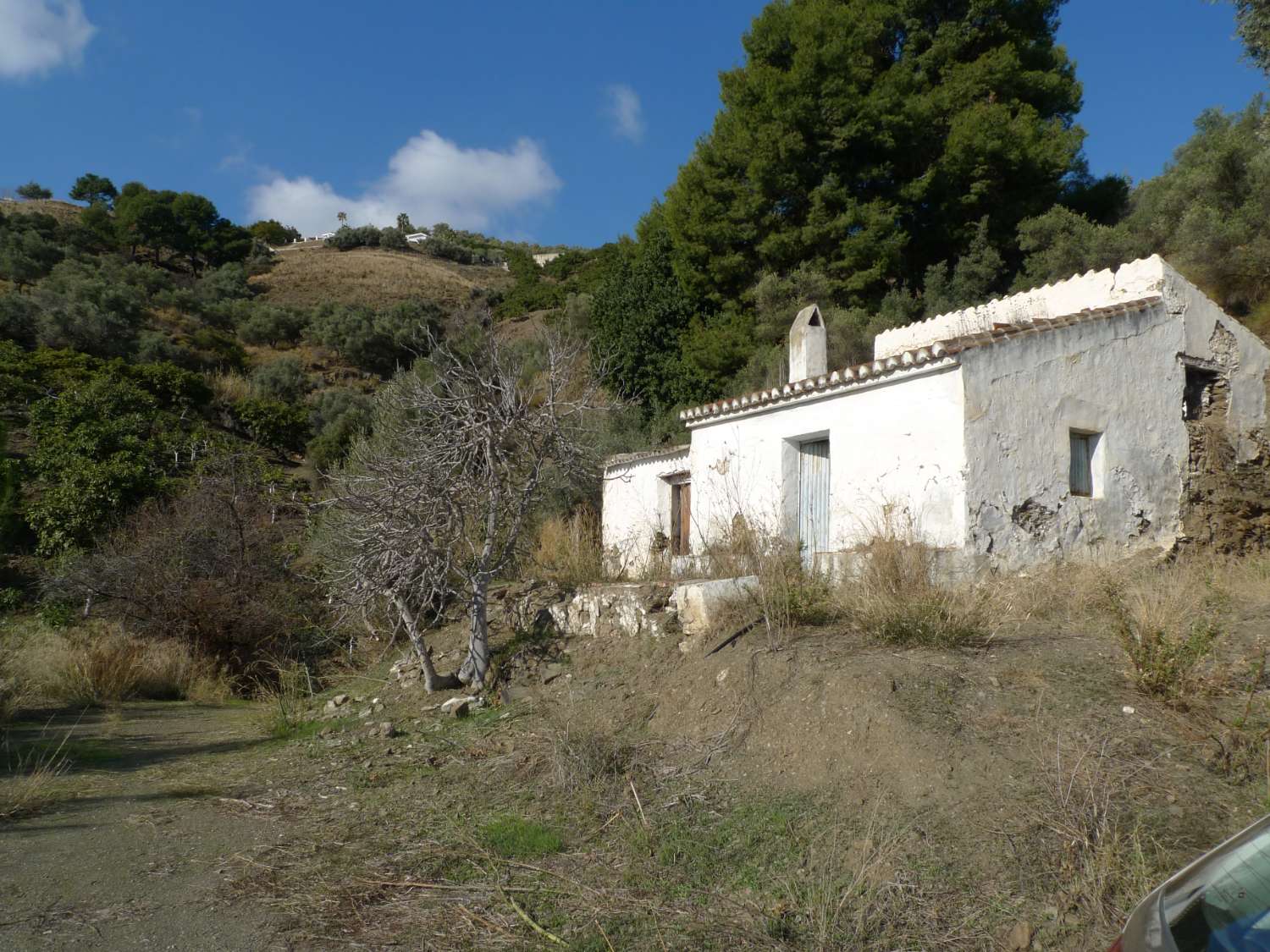 Terrain et ferme rustique à réformer à vendre sur la route de Frigiliana Torrox