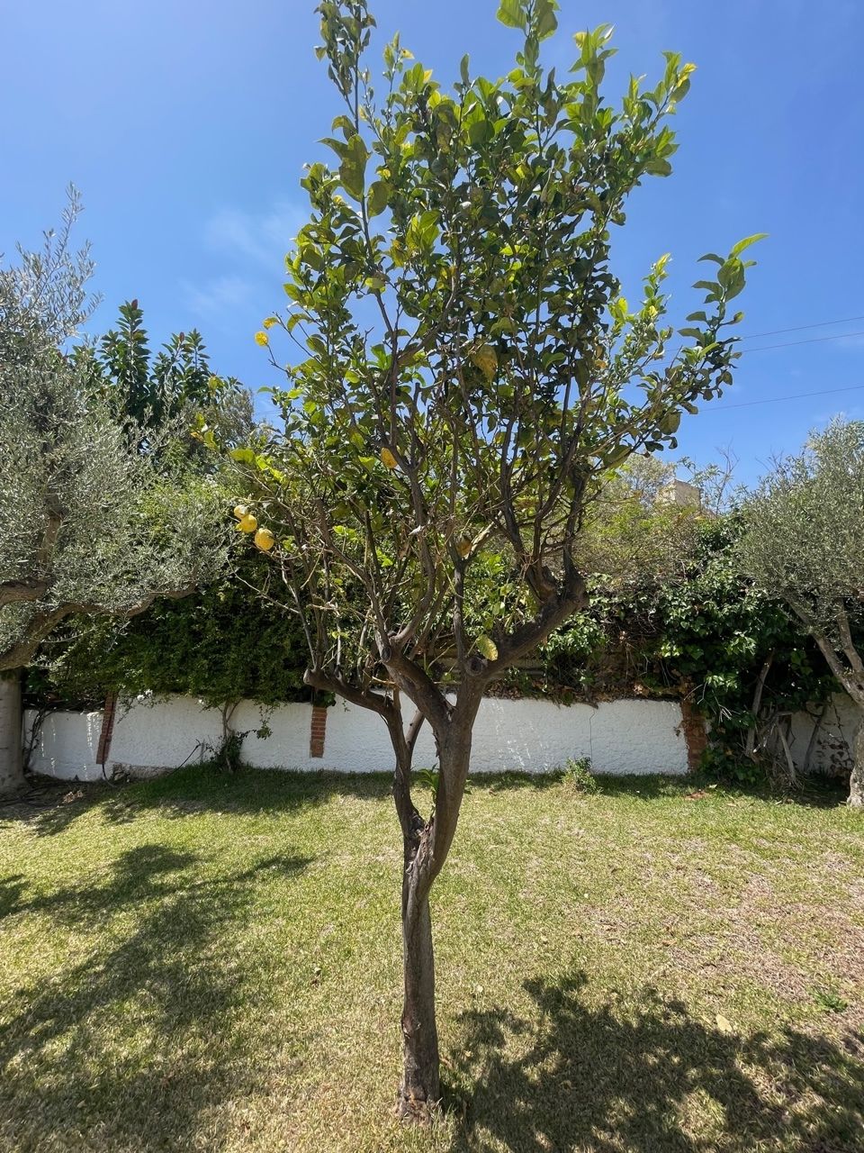 4BR vila na prodej v Fuente del Baden, Nerja