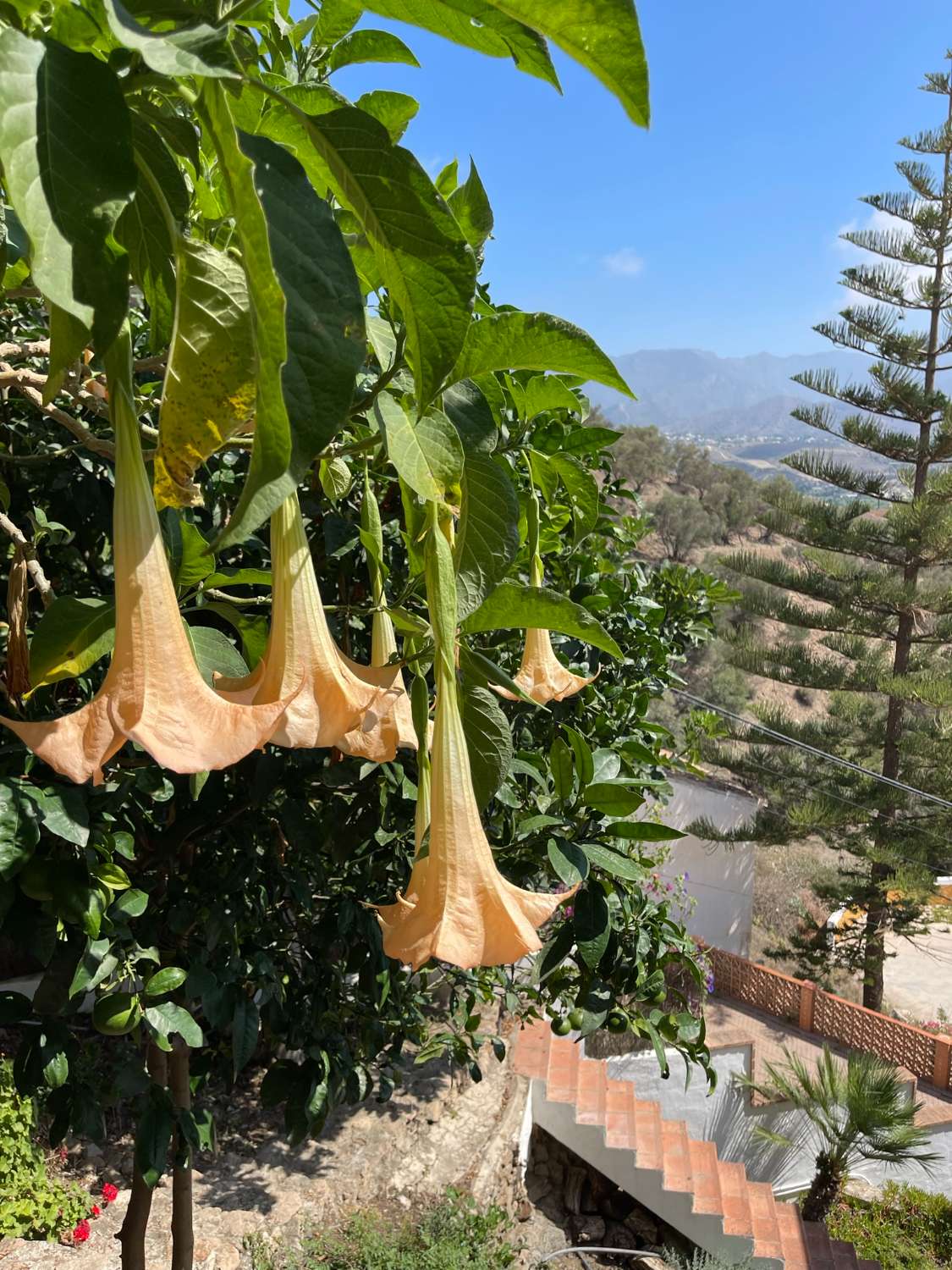 Villa con vistas espectaculares, piscina privada y 3 dormitorios en Punta Lara, Nerja