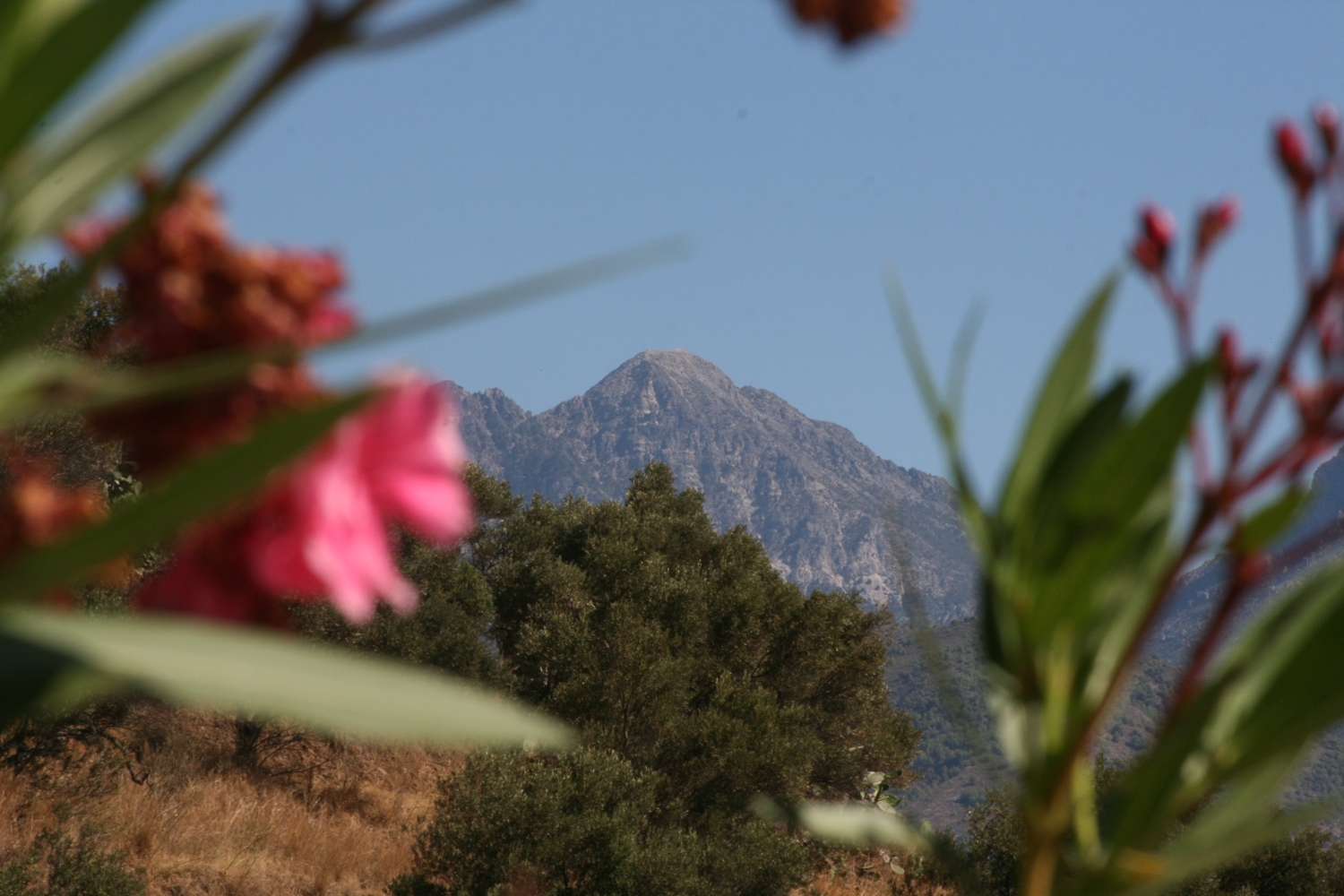 Villa with spectacular views, private pool and 3 bedrooms in Punta Lara, Nerja