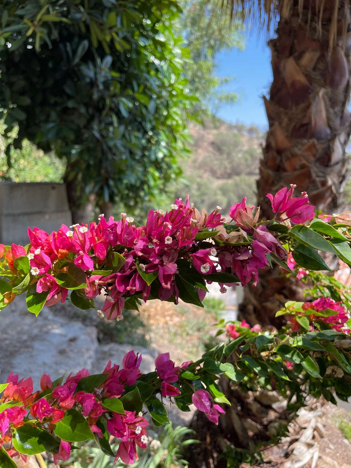 Villa avec vues spectaculaires, piscine privée et 3 chambres à Punta Lara, Nerja