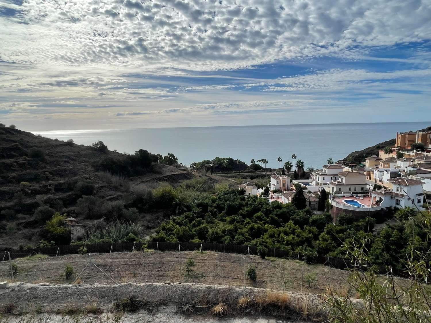 Villa única con 60 árboles de aguacates en una ubicación espectacular en Tamango Hill