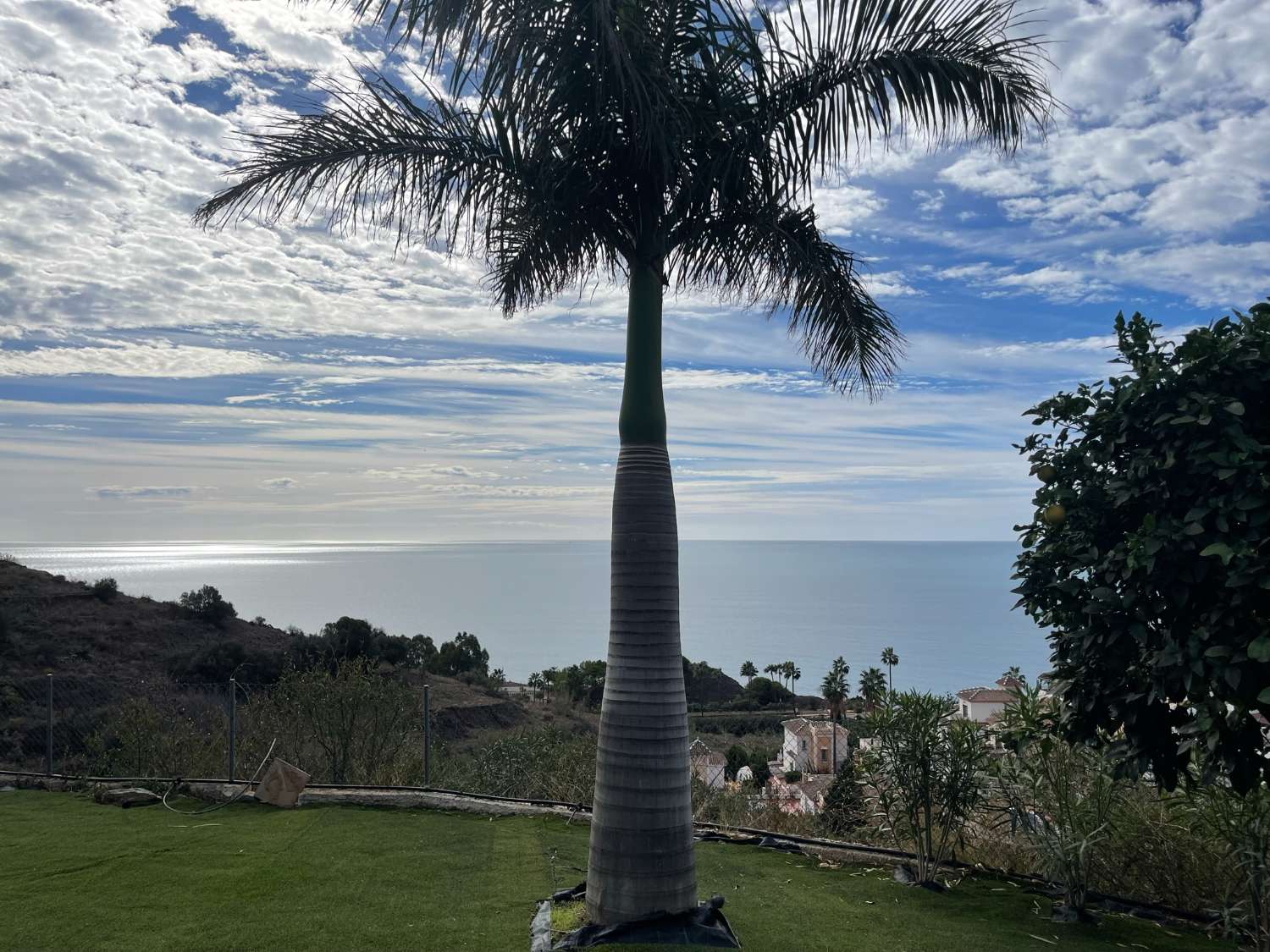 Villa única con 60 árboles de aguacates en una ubicación espectacular en Tamango Hill