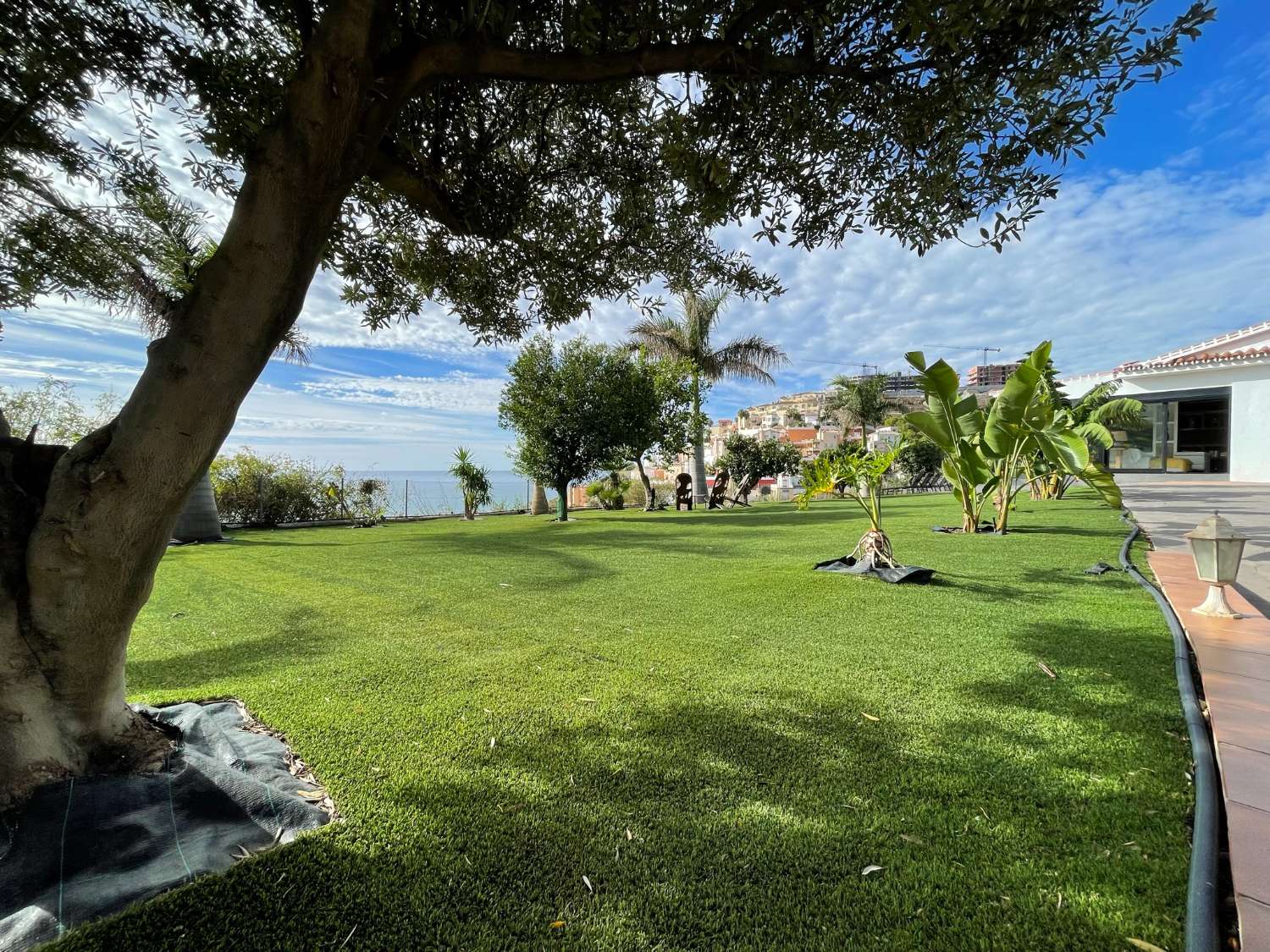 Villa única con 60 árboles de aguacates en una ubicación espectacular en Tamango Hill