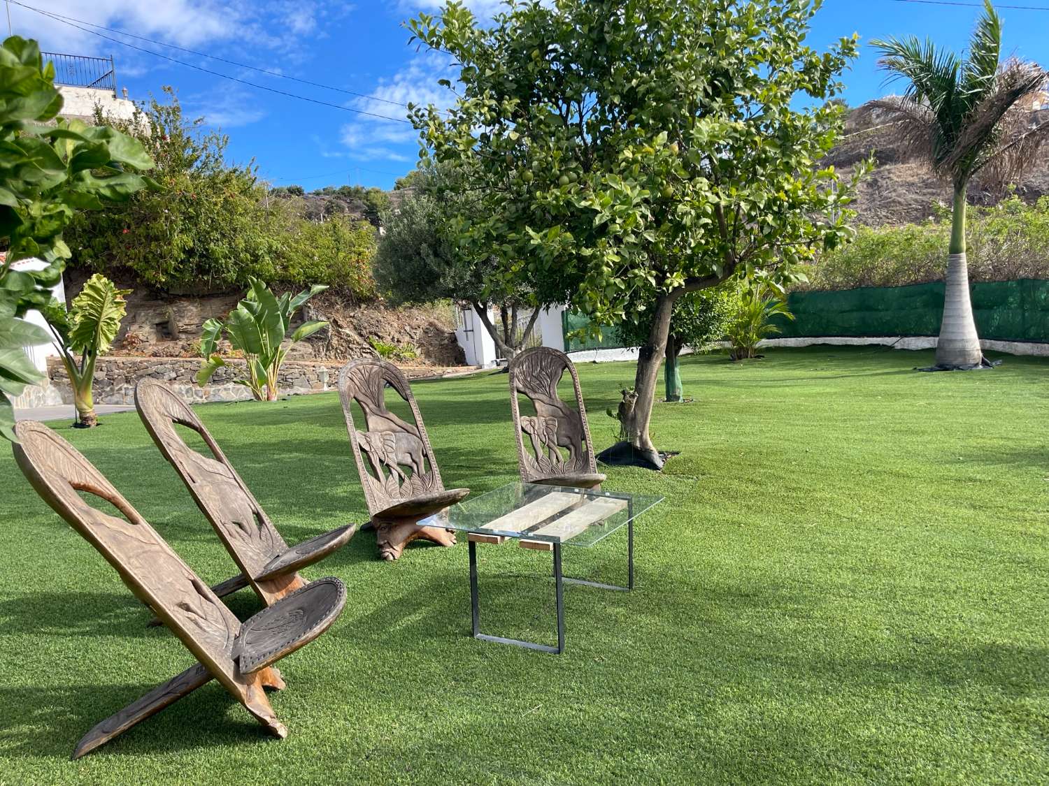 Villa única con 60 árboles de aguacates en una ubicación espectacular en Tamango Hill