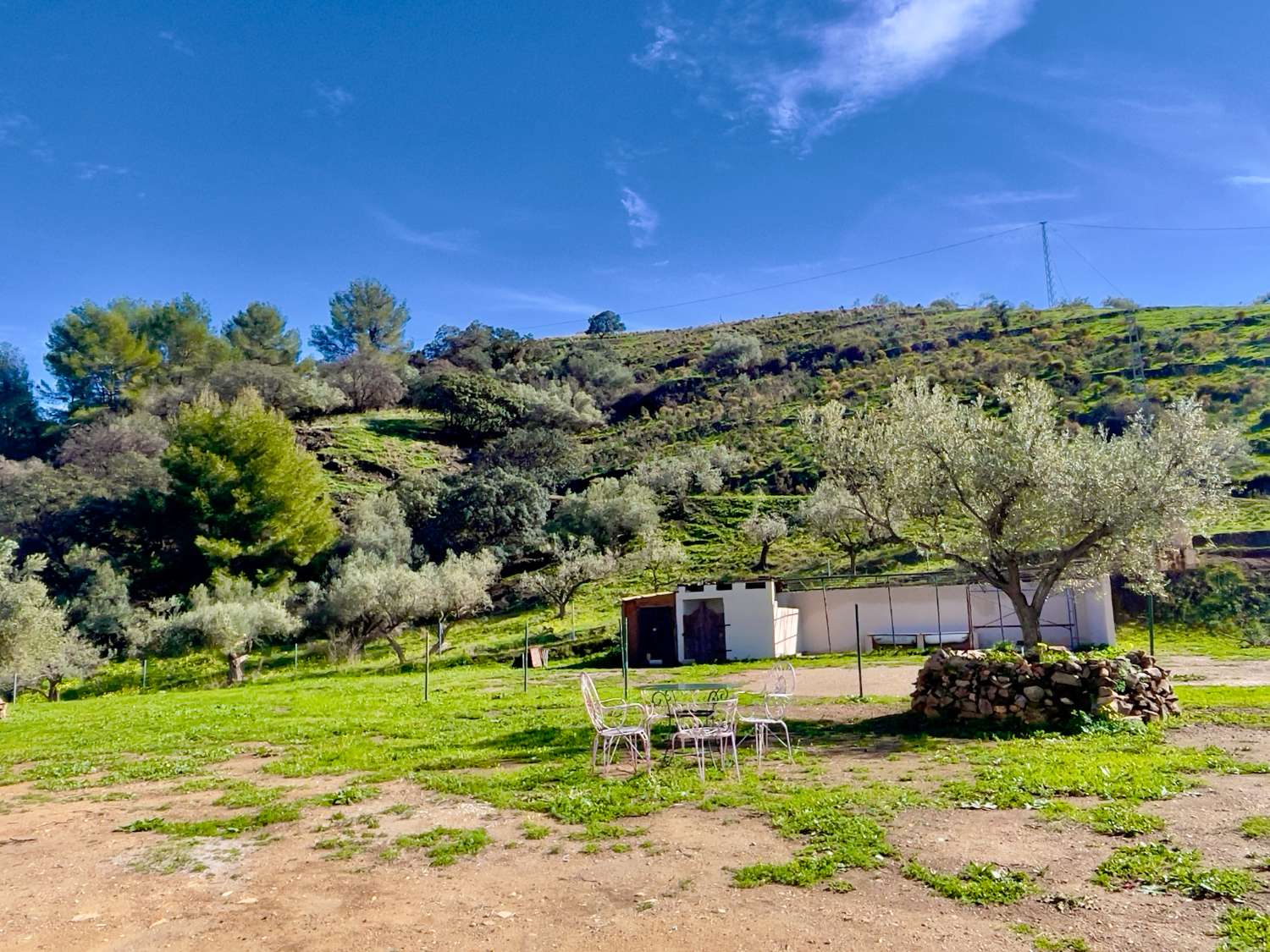 Finca - Cortijo en venta en Frigiliana