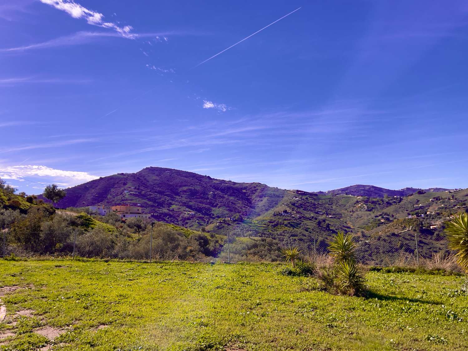 Finca - Cortijo en venta en Frigiliana