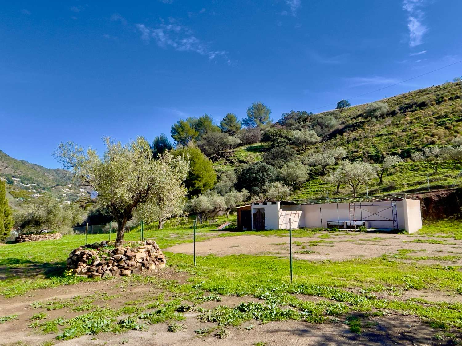 Finca - Cortijo en venta en Frigiliana