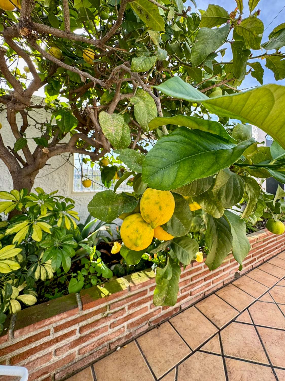 Hus till salu i Urb Capistrano Pueblo, Nerja