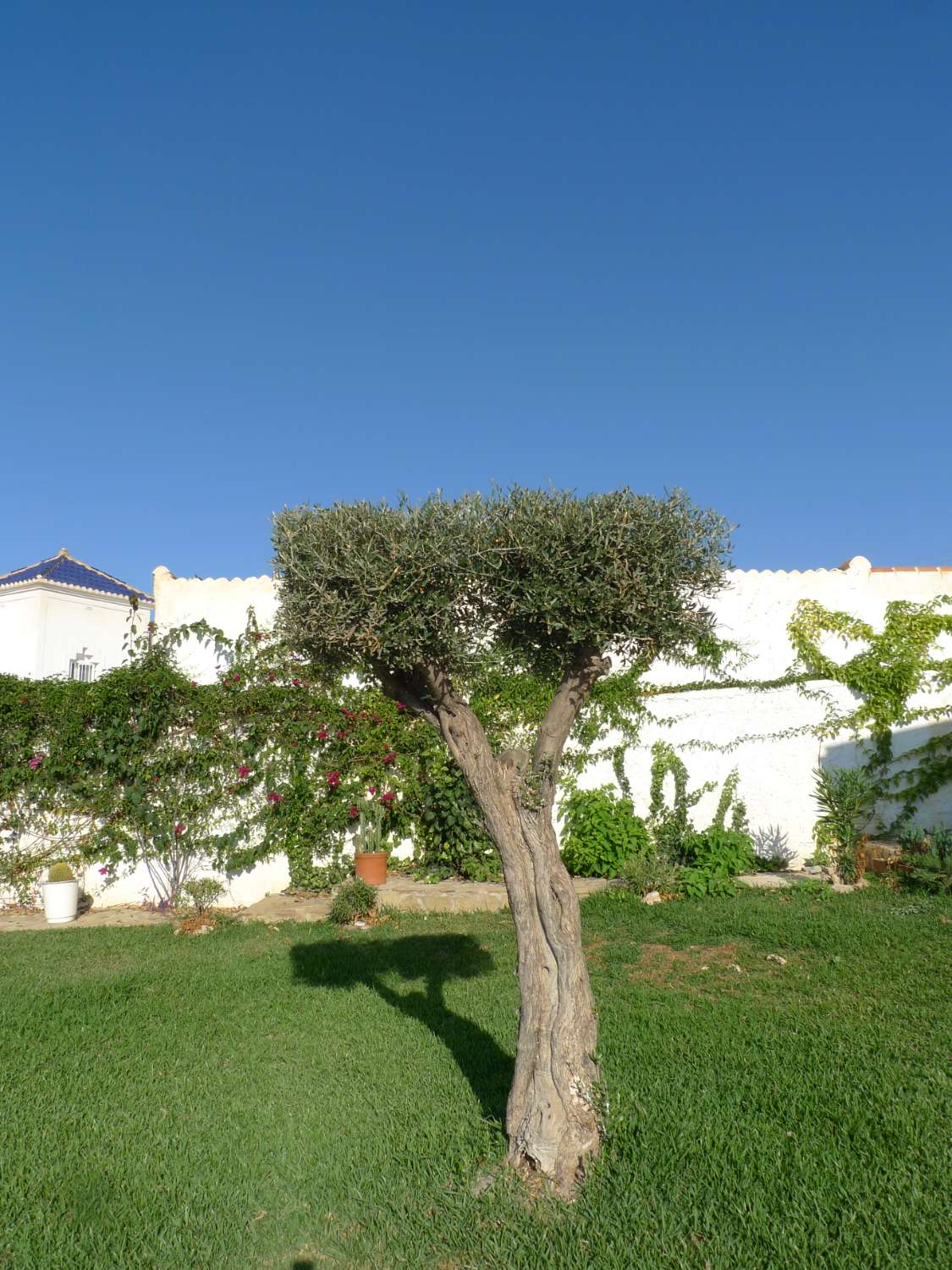 Charmante Villa mit 6 Schlafzimmern zum Verkauf im Dorf Capistrano, Nerja