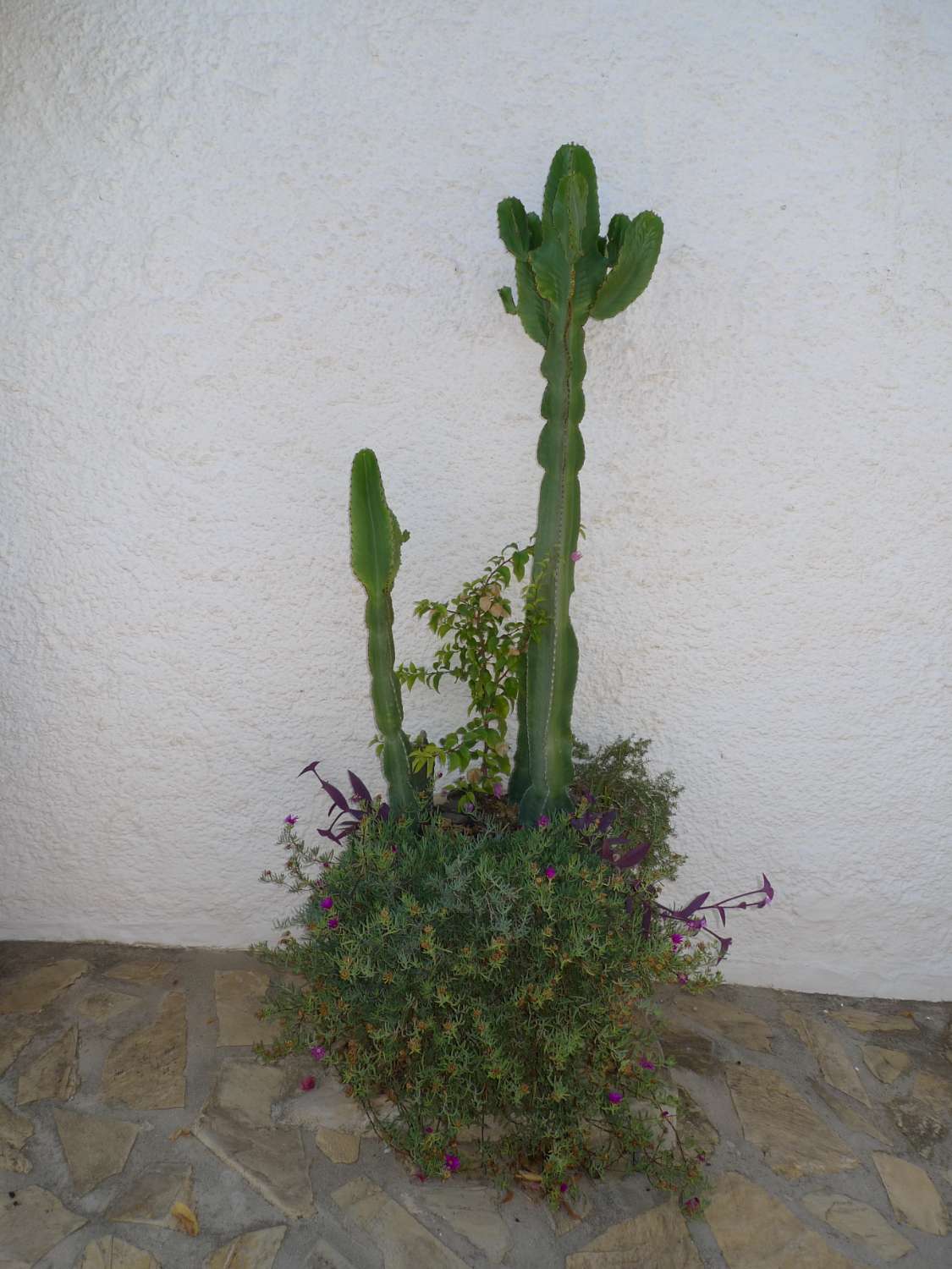 Charmig villa med 6 sovrum till salu i byn Capistrano, Nerja