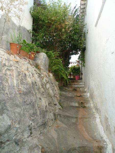 منزل للبيع في Maro (Nerja)