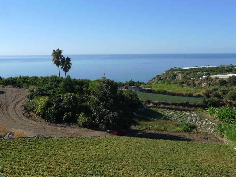 منزل للبيع في Maro (Nerja)